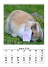 August_Kaninchen_2.pdf